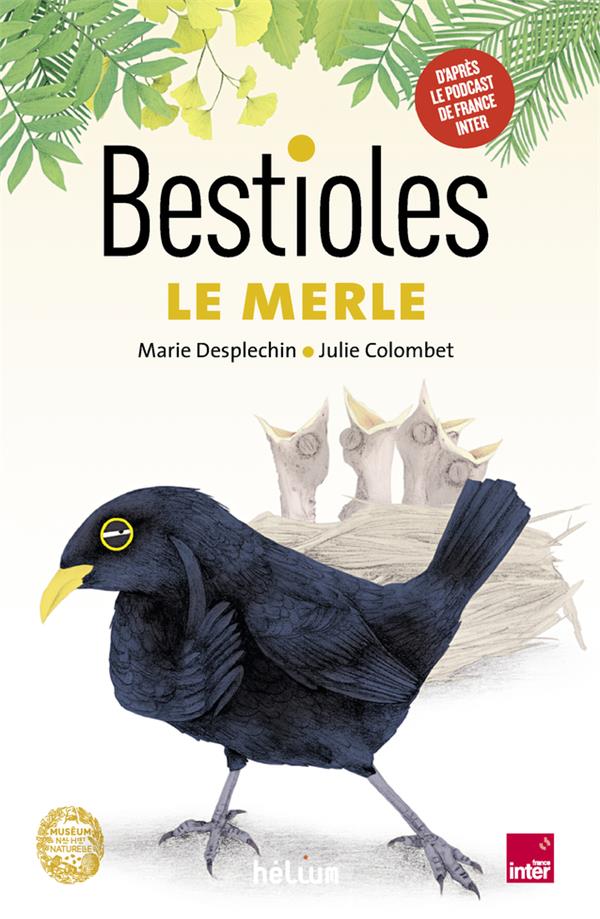 Bestioles : le merle