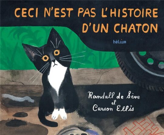 Ceci n’est pas l’histoire d’un chaton