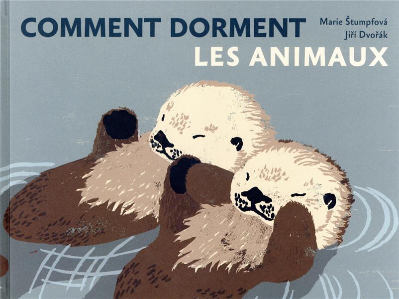 Comment dorment les animaux