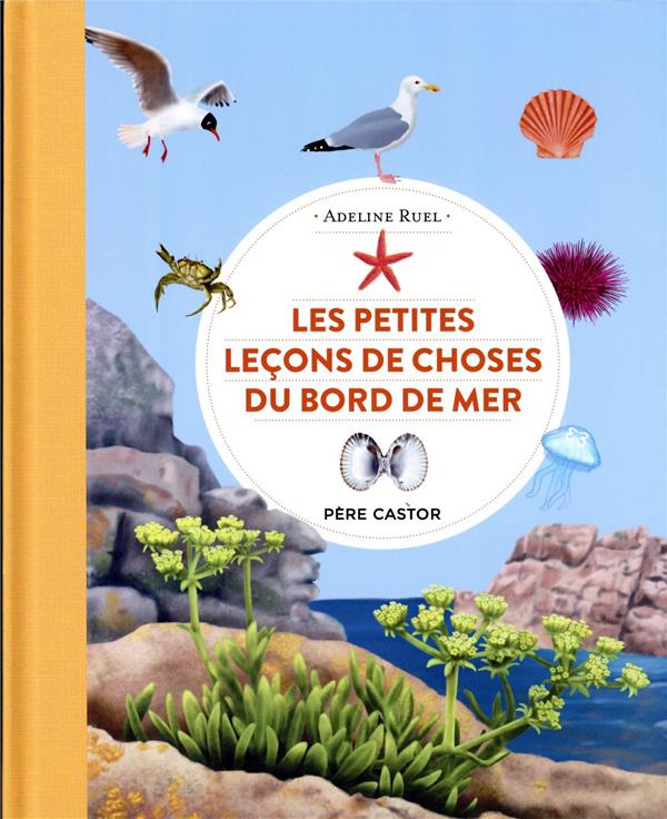 Les petites leçons de choses du bord de mer