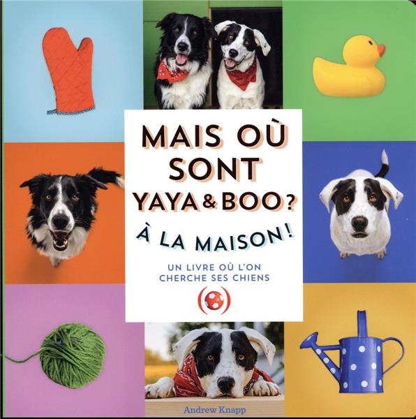 Mais où sont Boo et Yaya ? À la maison