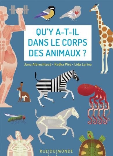 Qu’y a-t-il dans le corps des animaux ?