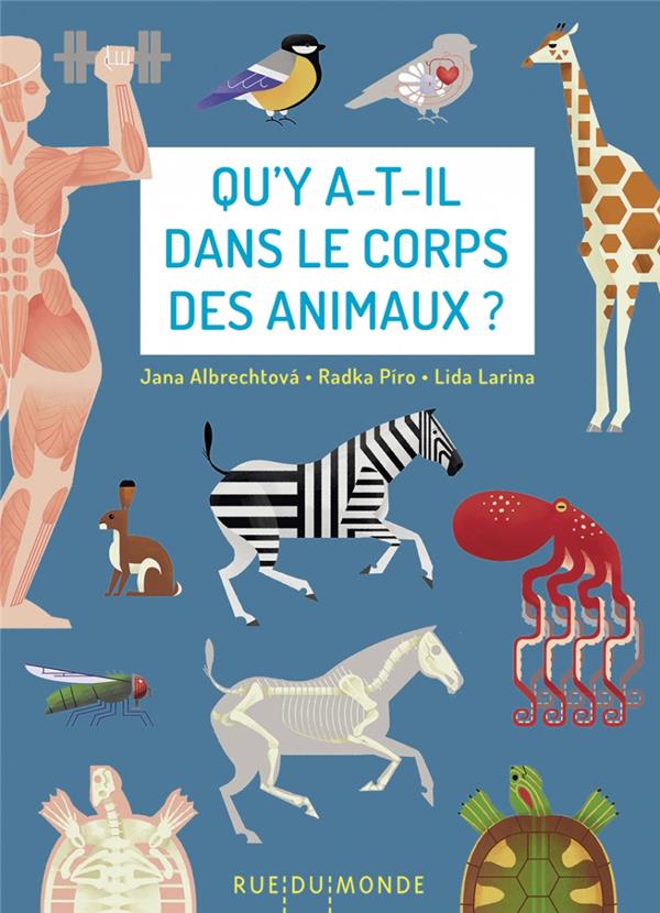 Qu’y a-t-il dans le corps des animaux ?