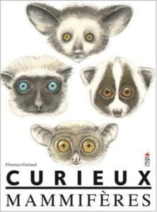 Curieux mammifères