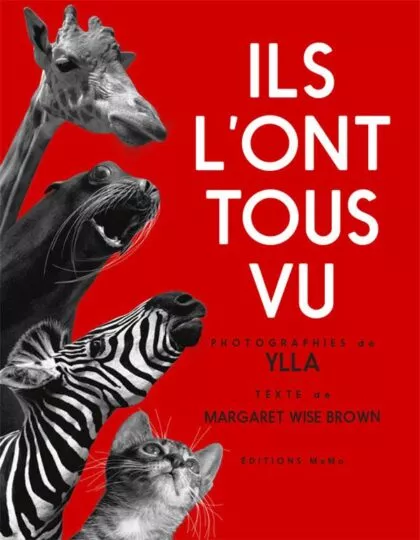 Ils l&rsquo;ont tous vu !