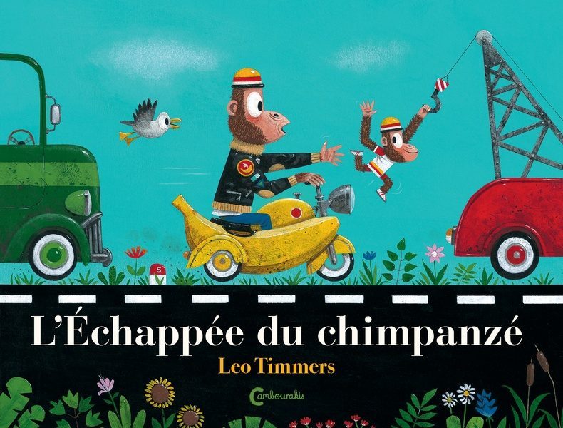 L’échappée du chimpanzé