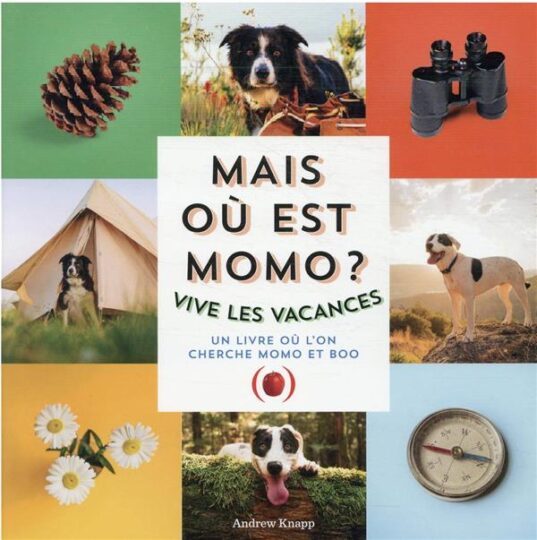 Mais où est Momo ? vive les vacances ! un livre où l’on cherche Momo et Boo