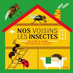 Nos voisins les insectes ; un livre à flaps, pour débusquer les petites bêtes qui vivent dans la maison