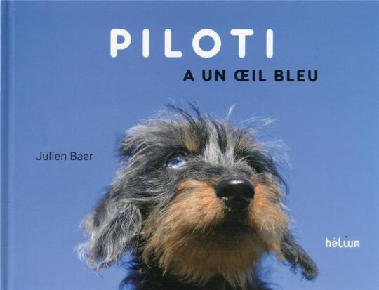 Piloti a un oeil bleu