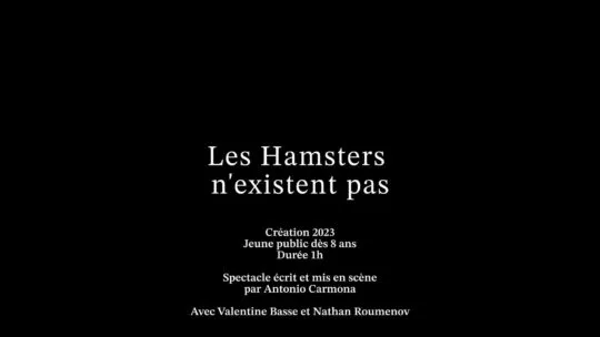 Teaser Les Hamsters n’existent pas Compagnie Si Sensible
