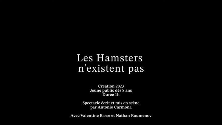 Les hamsters n’existent pas