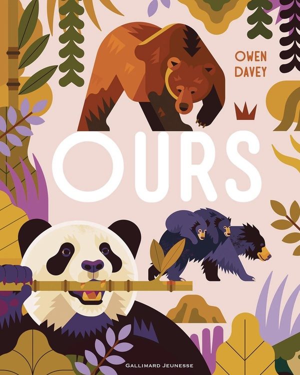 Ours-Gallimard