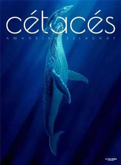 Cétacés