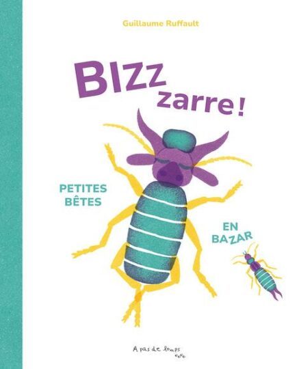 Bizzzarre ! Petites bêtes en bazar