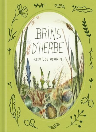 Brins d&rsquo;herbe