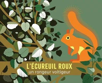 L&rsquo;écureuil roux : Un rongeur voltigeur