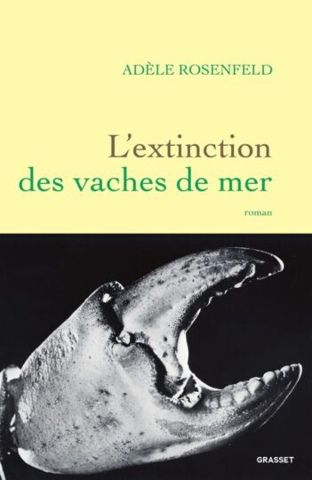 L&rsquo;extinction des vaches de mer