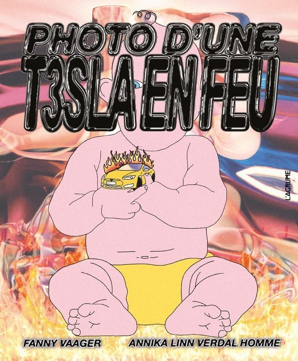 Photo d&rsquo;une T3sla en feu